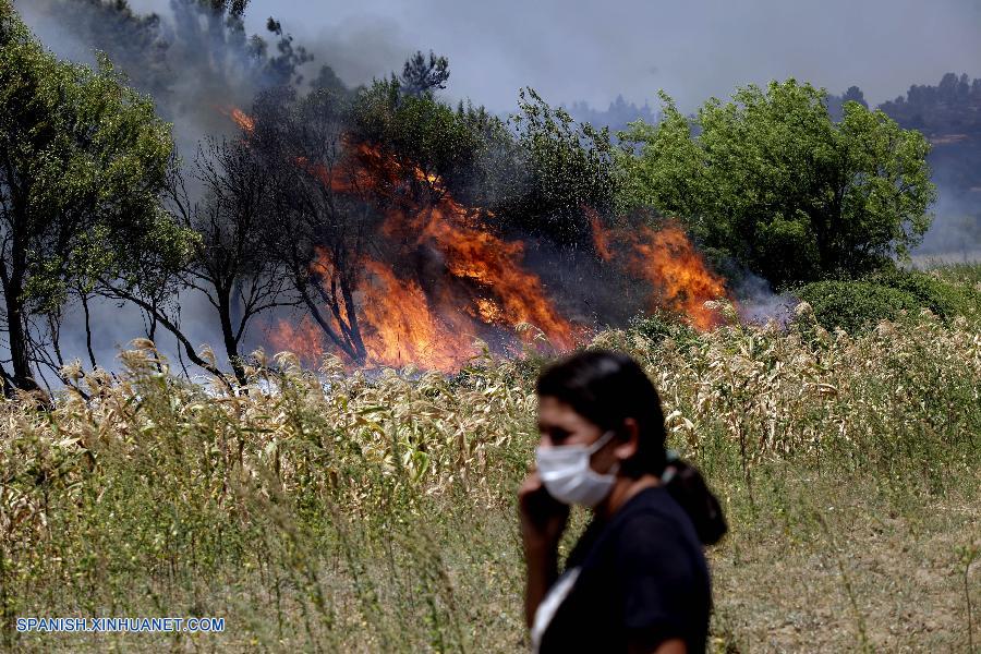 Origen de incendios forestales en Chile es des