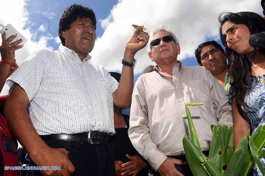 El gobierno boliviano anunció hoy que recurrirá a expertos de Argentina para combatir la plaga de langostas que desde hace dos semanas azota el campo boliviano y que ha acabado con más de 1.200 hectáreas de sembradíos.