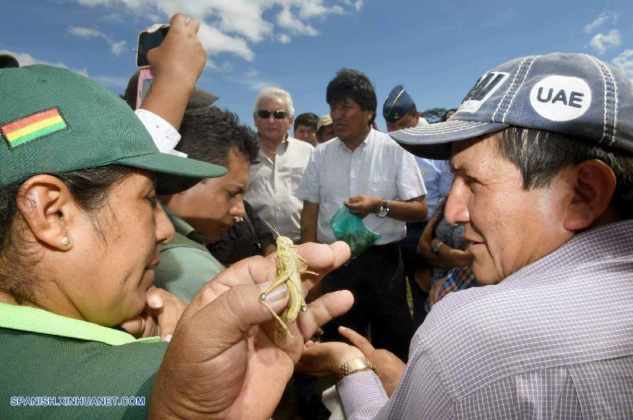 El gobierno boliviano anunció hoy que recurrirá a expertos de Argentina para combatir la plaga de langostas que desde hace dos semanas azota el campo boliviano y que ha acabado con más de 1.200 hectáreas de sembradíos.