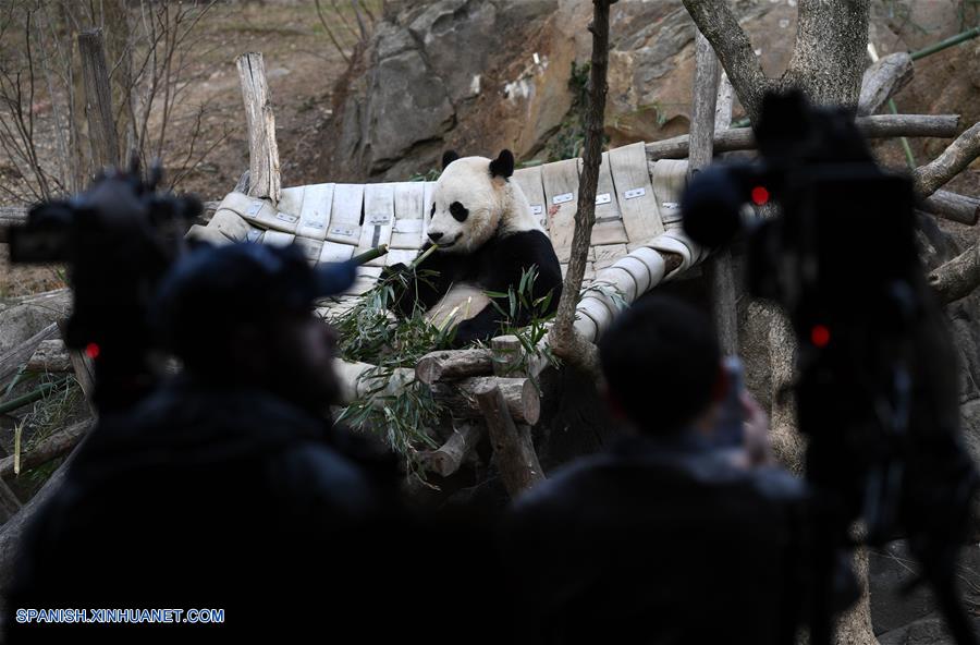 (3)EEUU-WASHINGTON-CHINA-MEDIO AMBIENTE-FAUNA