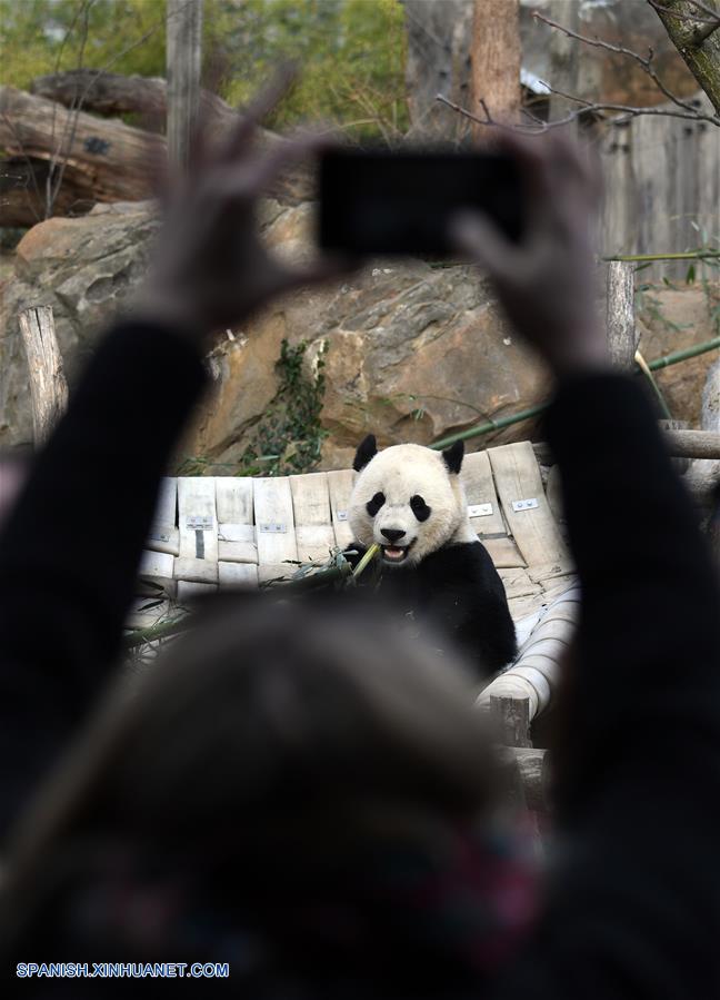 (12)EEUU-WASHINGTON-CHINA-MEDIO AMBIENTE-FAUNA