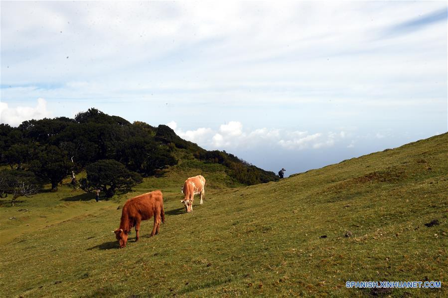 (4)PORTUGAL-MADEIRA-MEDIO AMBIENTE-PAISAJE