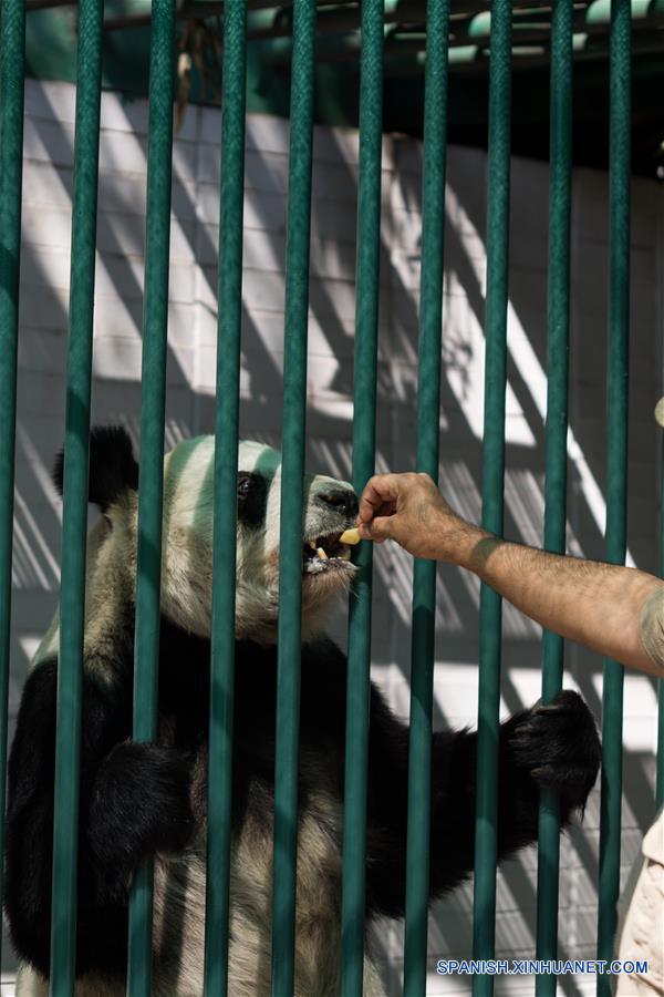 (10)MEXICO-CIUDAD DE MEXICO-CHINA-MEDIO AMBIENTE-FAUNA