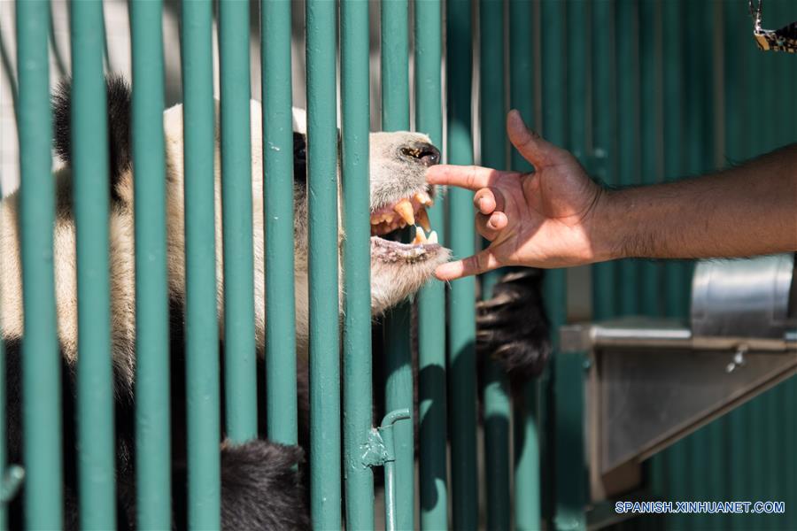 (9)MEXICO-CIUDAD DE MEXICO-CHINA-MEDIO AMBIENTE-FAUNA