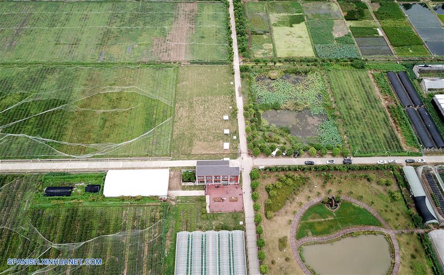 （社会）（3）国内首个民用无人机试飞运行基地在上海启用