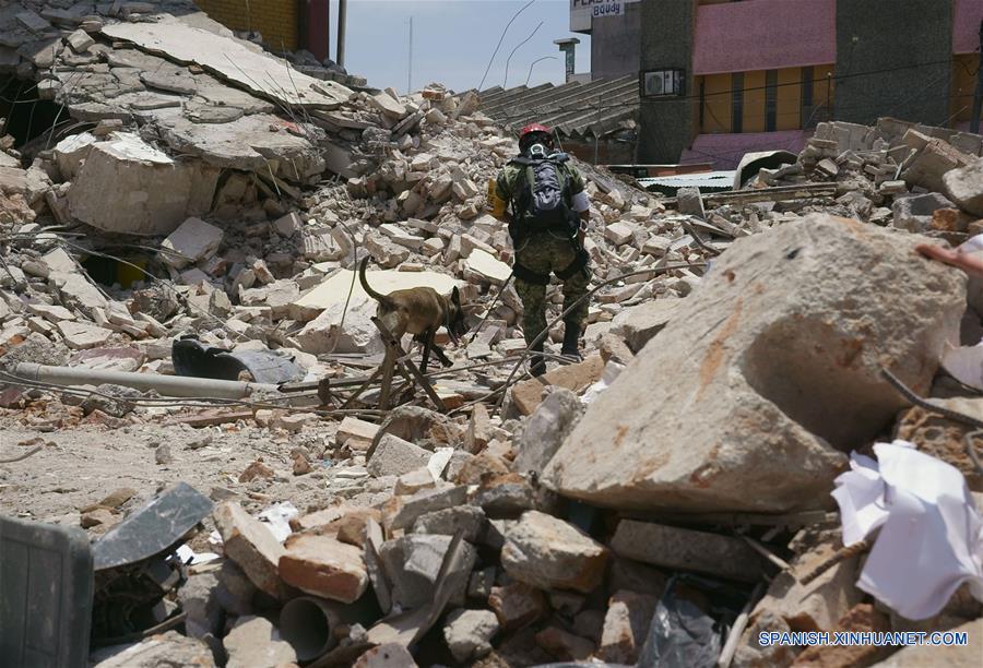 (6)MEXICO-OAXACA-MEDIO AMBIENTE-SISMO