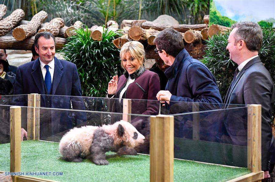 (2)FRANCIA-SAINT AIGNAN-CHINA-MEDIO AMBIENTE-FAUNA