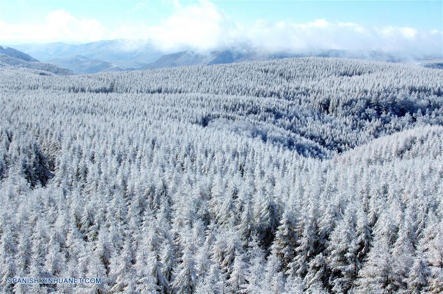 (1)CHINA-CHENGDE-MEDIO AMBIENTE-PREMIO