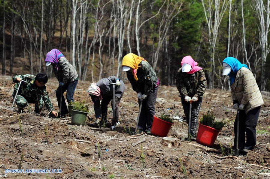 (2)CHINA-CHENGDE-MEDIO AMBIENTE-PREMIO