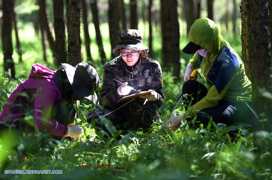 (3)CHINA-CHENGDE-MEDIO AMBIENTE-PREMIO