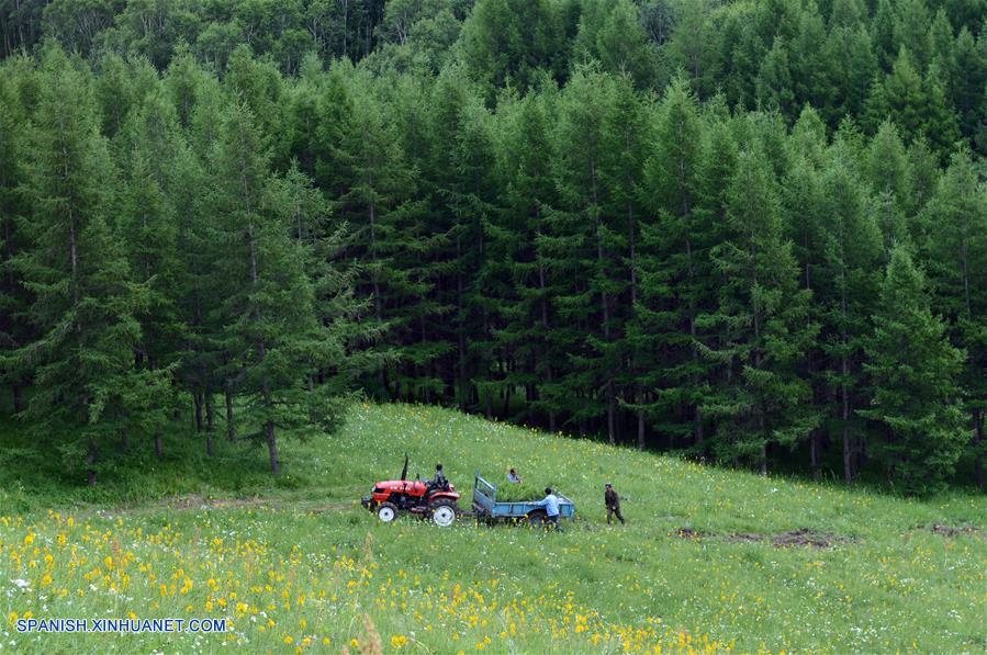 (4)CHINA-CHENGDE-MEDIO AMBIENTE-PREMIO
