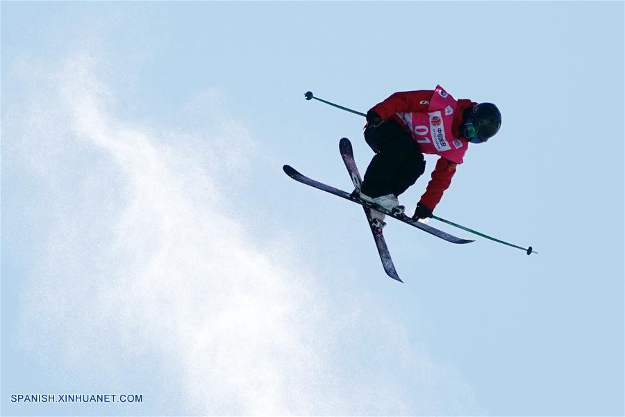 （体育）（6）自由式滑雪——自由式滑雪U型场地世界杯：张可欣夺得女子组冠军