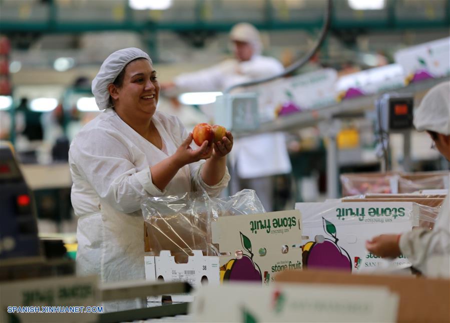 (8)CHILE-MOSTAZAL-INDUSTRIA-AGRICULTURA-SERIE