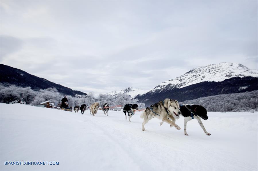 ARGENTINA-USHUAIA-TRINEOS-SERIE