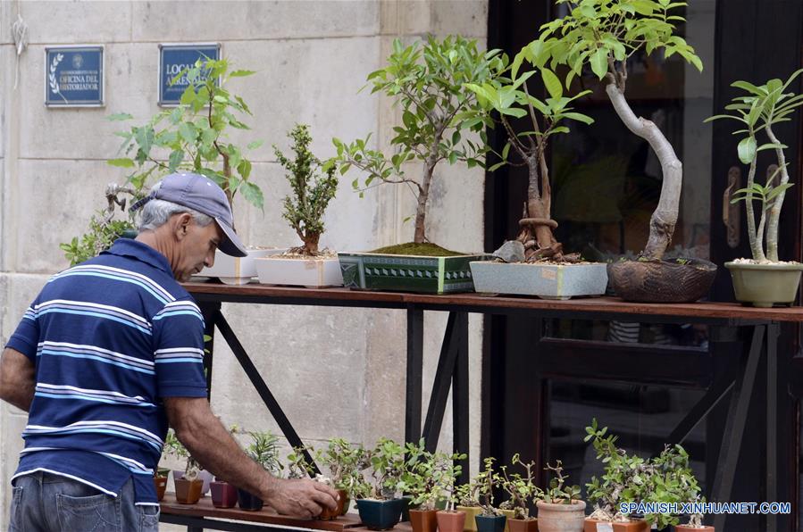 CUBA-HABANA-PREGON CUBANO-SERIE