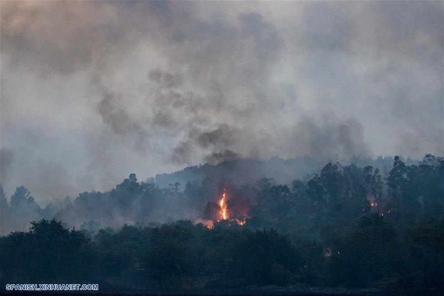 ISRAEL-KIBBUTZ HAREL-INCENDIO FORESTAL