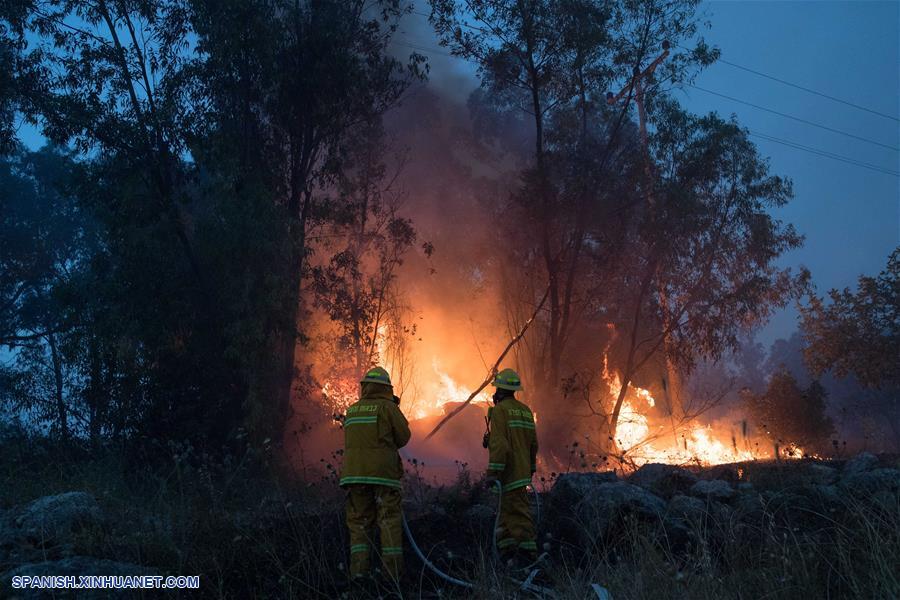 ISRAEL-KIBBUTZ HAREL-INCENDIO FORESTAL