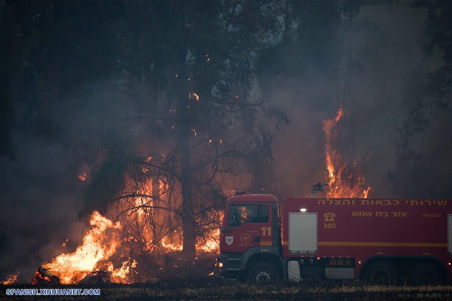 ISRAEL-KIBBUTZ HAREL-INCENDIO FORESTAL