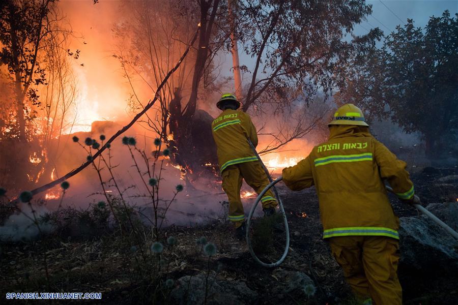 ISRAEL-KIBBUTZ HAREL-INCENDIO FORESTAL