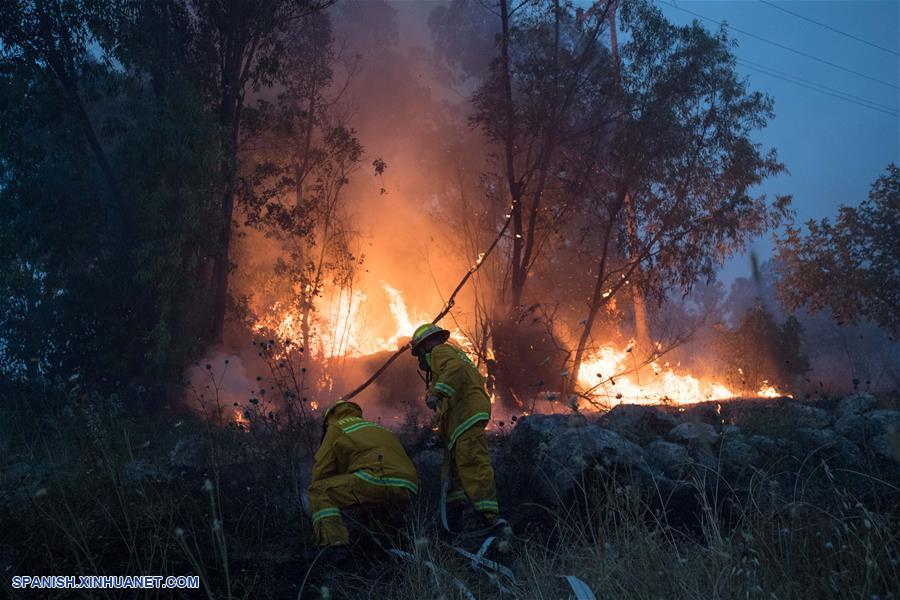 ISRAEL-KIBBUTZ HAREL-INCENDIO FORESTAL