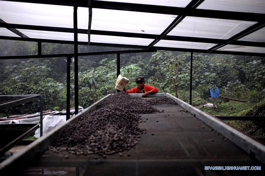 PANAMA-BOQUETE-CHINA-CAFE-SERIE