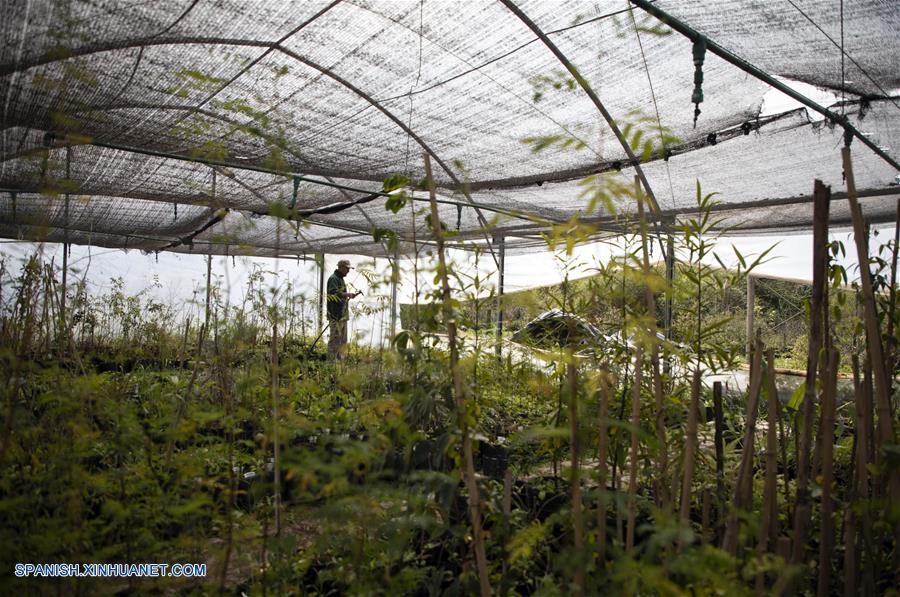 ARGENTINA-BUENOS AIRES-MEDIO AMBIENTE-RESERVA ECOLOGICA