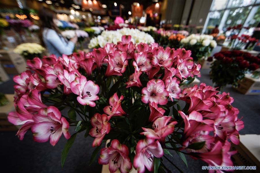 COLOMBIA-BOGOTA-PROFLORA-FERIA