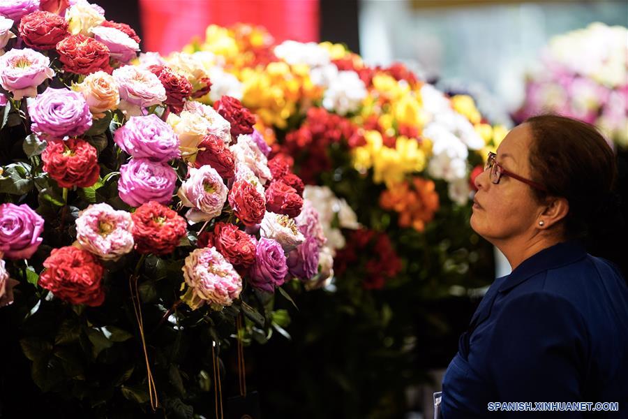 COLOMBIA-BOGOTA-PROFLORA-FERIA