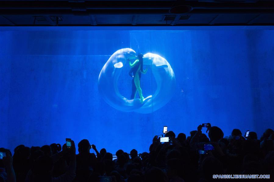 CHINA-HEILONGJIANG-HARBIN POLARLAND-BELUGA-ENTRENADORA-SERIE