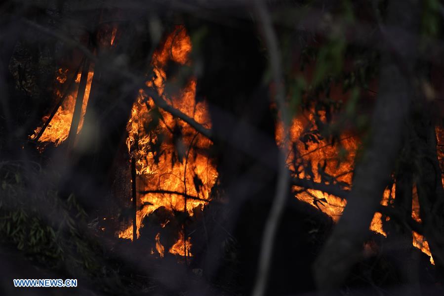 EEUU-CALIFORNIA-INCENDIO FORESTAL