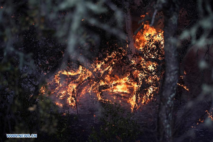 EEUU-CALIFORNIA-INCENDIO FORESTAL