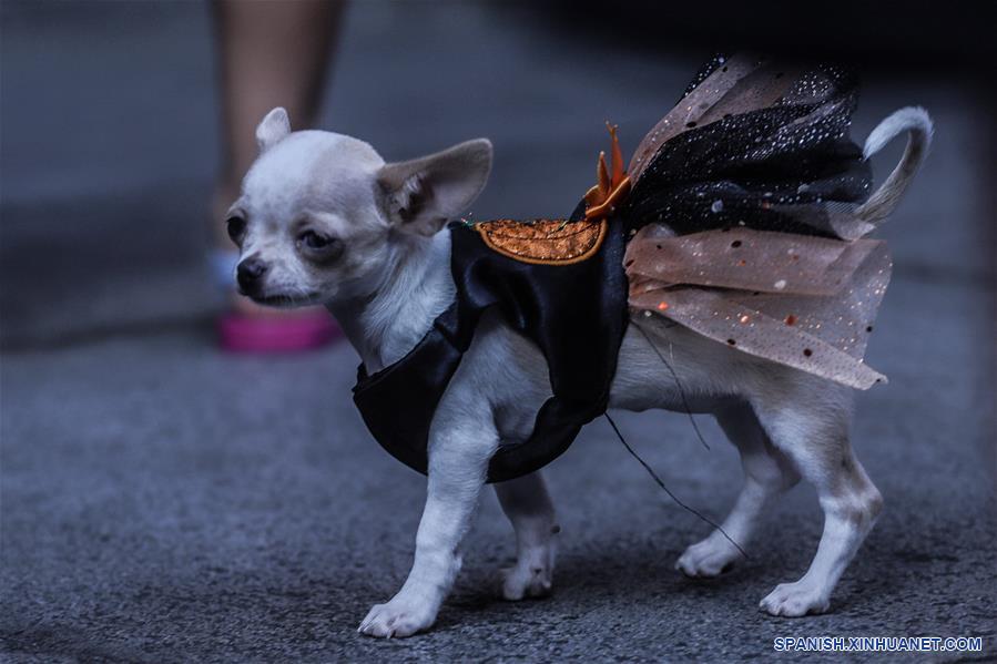 BRASIL-SAO PAULO-MARCHA ZOMBIE