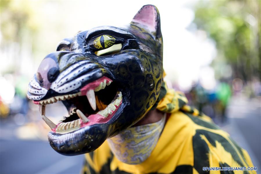 MEXICO-CIUDAD DE MEXICO-CARNAVAL