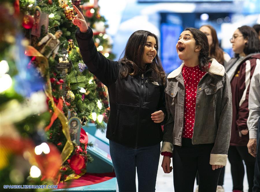 EEUU-CHICAGO-ARBOLES DE NAVIDAD