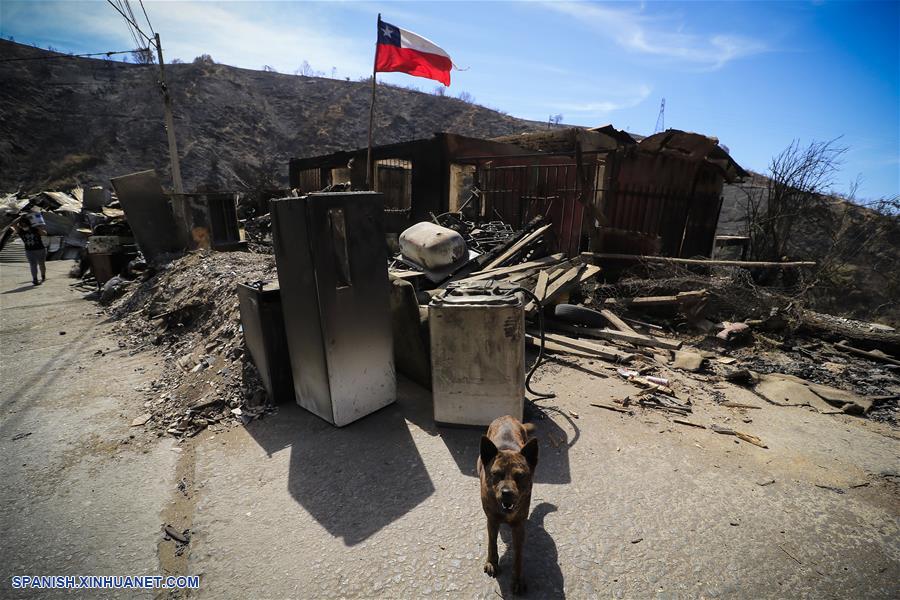 CHILE-VALPARAISO-INCENDIO FORESTAL-DAÑOS