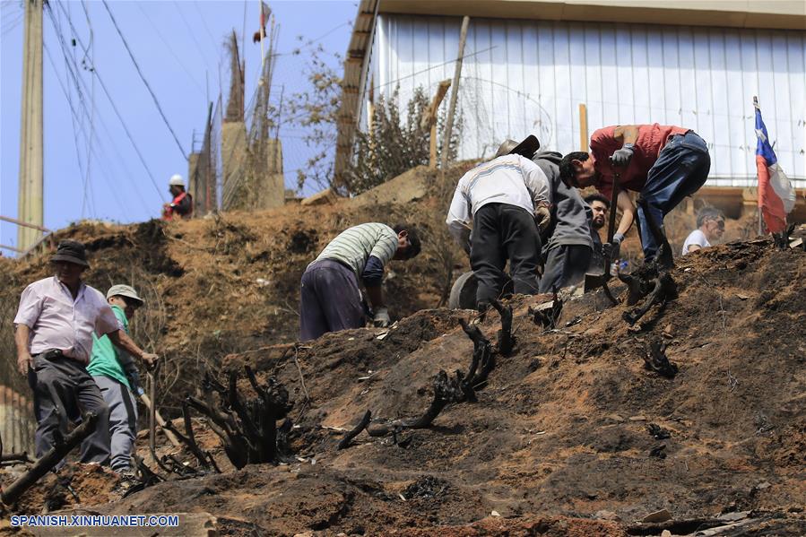 CHILE-VALPARAISO-INCENDIO FORESTAL-DAÑOS