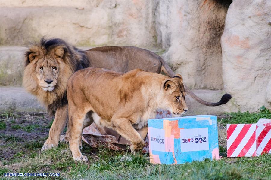 CROACIA-ZAGREB-ZOOLOGICO-REGALOS DE NAVIDAD