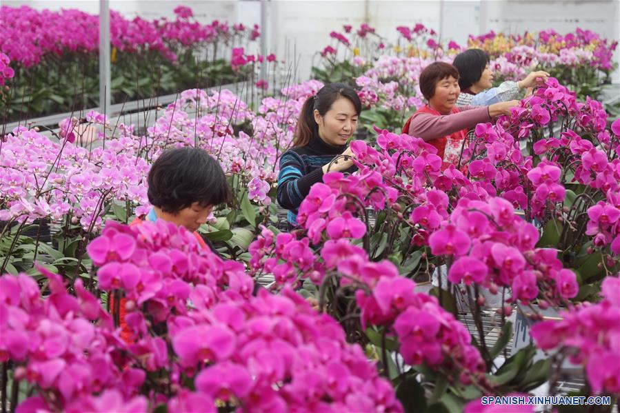 La industria de las flores ha ayudado a mujeres de sus zonas rurales a del desempleo | Spanish.xinhuanet.com