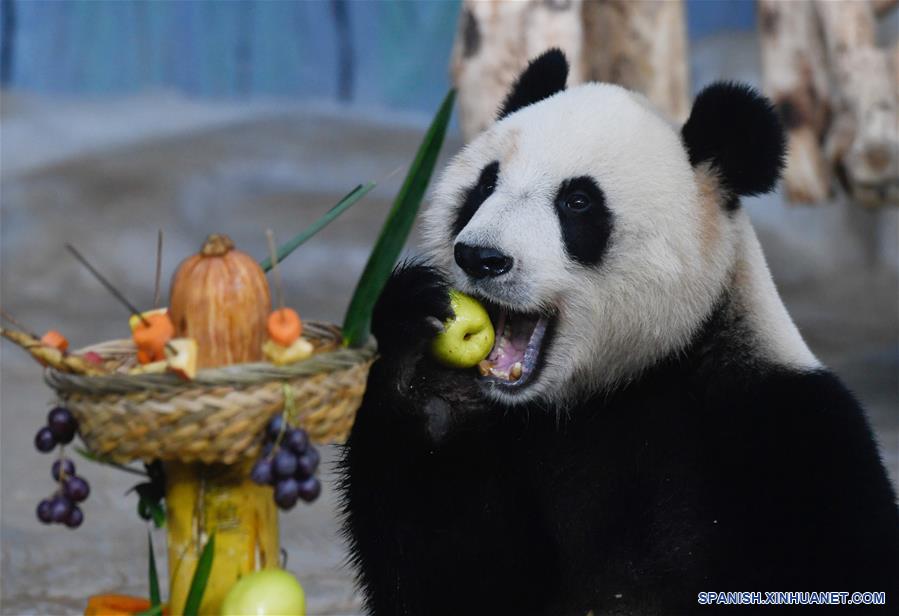 BELGICA-BRUGELETTE- PREMIOS MUNDIALES PANDA GIGANTE