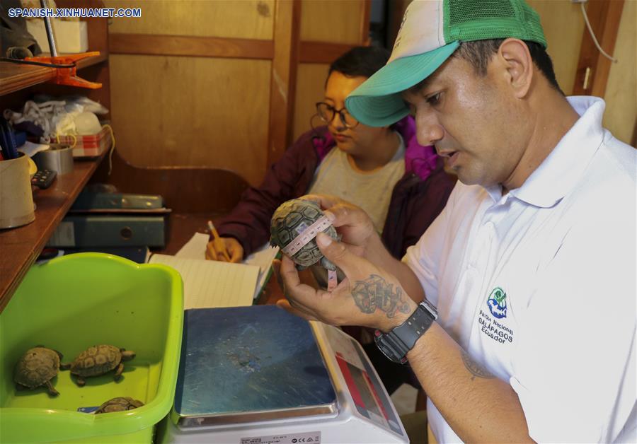 ECUADOR-ISLA ESPAÑOLA-TORTUGAS GIGANTES