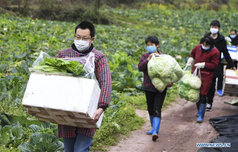 CHINA-CHONGQING-CORONAVIRUS-SUMINISTRO DE VEGETALES