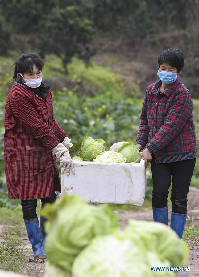 CHINA-CHONGQING-CORONAVIRUS-SUMINISTRO DE VEGETALES