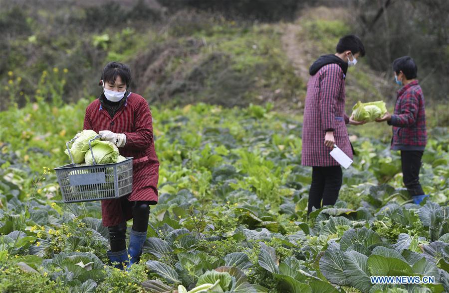 CHINA-CHONGQING-CORONAVIRUS-SUMINISTRO DE VEGETALES