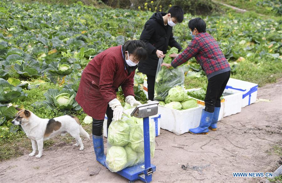 CHINA-CHONGQING-CORONAVIRUS-SUMINISTRO DE VEGETALES