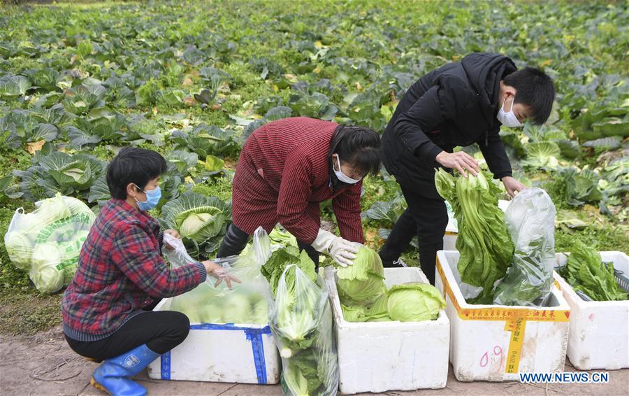 CHINA-CHONGQING-CORONAVIRUS-SUMINISTRO DE VEGETALES