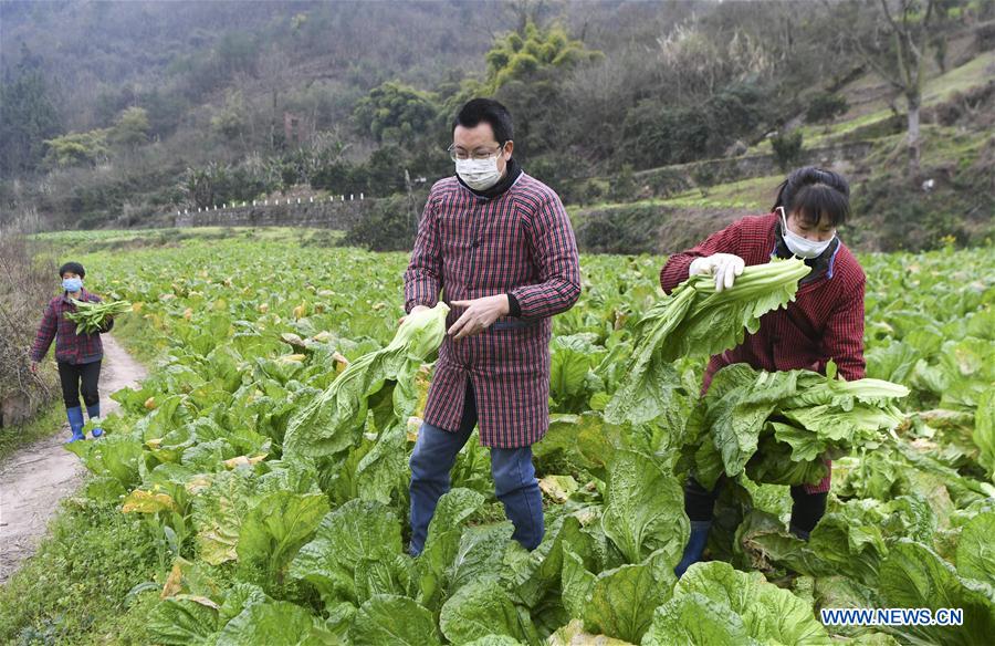 CHINA-CHONGQING-CORONAVIRUS-SUMINISTRO DE VEGETALES
