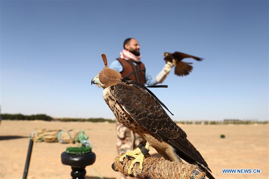 EGIPTO-GIZA-ESPECTACULO DE HALCONES