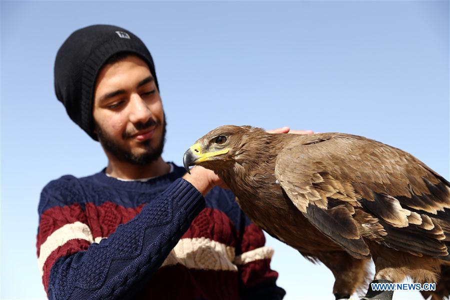 EGIPTO-GIZA-ESPECTACULO DE HALCONES