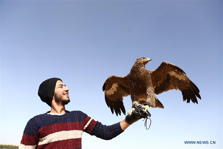EGIPTO-GIZA-ESPECTACULO DE HALCONES
