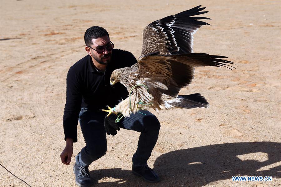 EGIPTO-GIZA-ESPECTACULO DE HALCONES